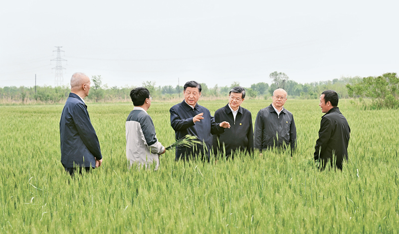 2023年5月11日至12日，中共中央總書記、國家主席、中央軍委主席習(xí)近平在河北考察，并主持召開深入推進(jìn)京津冀協(xié)同發(fā)展座談會。這是11日上午，習(xí)近平在滄州市黃驊市舊城鎮(zhèn)仙莊片區(qū)旱堿地麥田考察時，同種植戶、農(nóng)技專家親切交流。 新華社記者 李學(xué)仁/攝