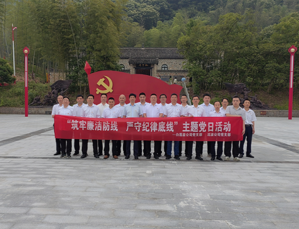 白蓮崖電站、流波電站_副本.png